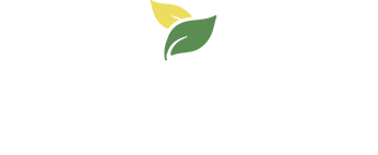 Tudo Fresco